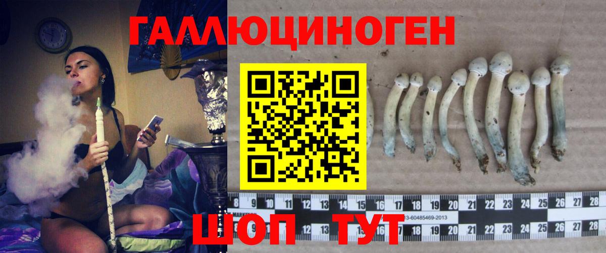 Псилоцибиновые грибы GOLDEN TEACHER Шадринск