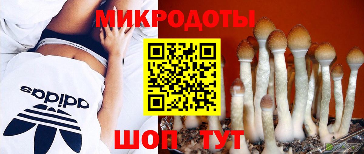 Шадринск  хочу наркоту  Галлюциногенные грибы прущие грибы  Вход с VPN  Псилоцибиновые грибы Psilocybe 